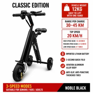 Classic edition three-wheeled electric scooter